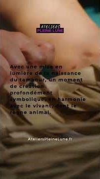 Evènement Perros-Guirec & Plérin - Culture Amérindienne: Sagesse autochtone, chants et tambours