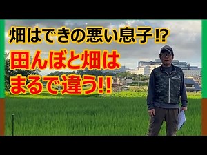【土壌の違い】田んぼと畑の違い 出来の良い息子と出来の悪い息子⁉︎