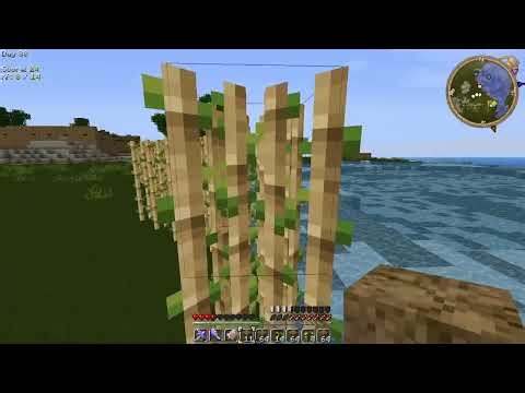 MİNECRAFT YOGBOX | FULL ÇEVRE DÜZENİ | #32