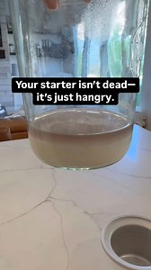 That gray liquid chilling on top of your starter? It’s called hooch—and it just means your starter needs a snack.🥄 If your starter’s been living its best neglected life in the back of the fridge…don’t toss it! Just pour off the hooch, feed it with flour and water 🌾💧, give it a good stir, and wait for those bubbles to come back!✨ I feed my starter with 1 part starter, 3 parts flour and 3 parts water. It’s basically sourdough CPR (easy, effective, and no need to cry into your flour bag.) Save t