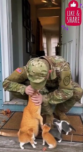 Soldier Comes Home to the Sweetest Cat Reunion Ever