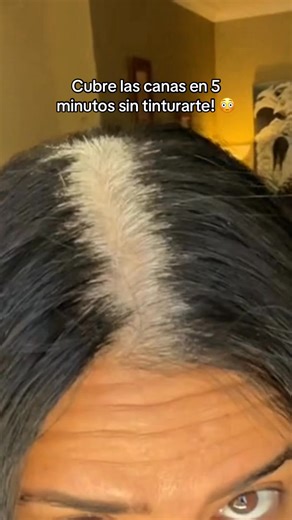 SHAMPOO CON COLOR DISAAR ideal para cubrir canas a diario sin maltratar el cabello con tintes ✅✨💗#cabello #haircare #cabellosano #dyehair #cubrecanas | Libélula