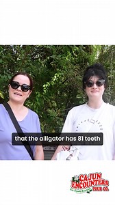 3.4K views · 21 reactions |  Did you know that the American alligator has a whopping 81 teeth? 醴 Discover more fascinating facts and see these incredible creatures up close on a thrilling adventure with us!  Book your swamp tour now at Cajun Encounters and dive into the wild side of the bayou! 年 #CajunEncounters #SwampTour #AlligatorFacts #AdventureAwaits #ExploreLouisiana | Cajun Encounters Tour Company | Facebook