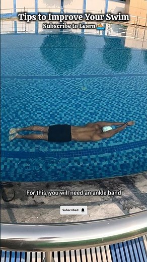 Swimming Tips for Beginners 🏊🏻 #swimming #dolphin #swimmingtips