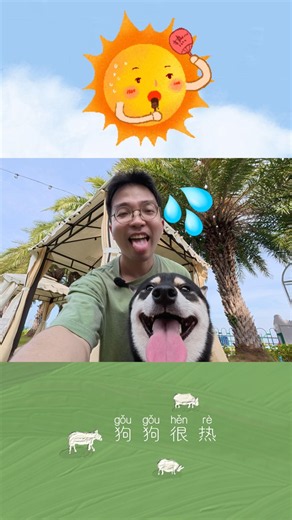 My dog is melting in easy Chinese #chineseforbeginners #chineselearning #learnmandarin #pets #中文教學