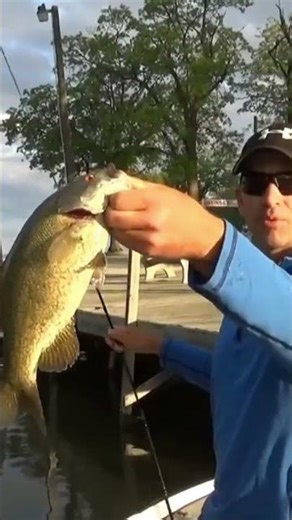 Drop Shot Rig Half Crawler for SM Bass