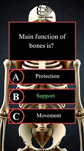 General Knowledge Reel on Human Body Functions | Students Knowledge