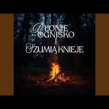 Płonie ognisko i szumią knieje