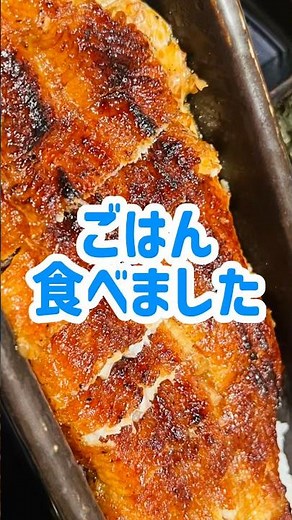 【愛知県】 うなぎ四代目菊川 ミッドランドスクエア 名古屋本店 ひつまぶし 食べました うなぎ料理 #ひつまぶし #グルメ #food