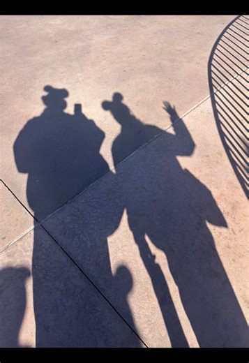 Mini Pin Trading Experience at Walt Disney World