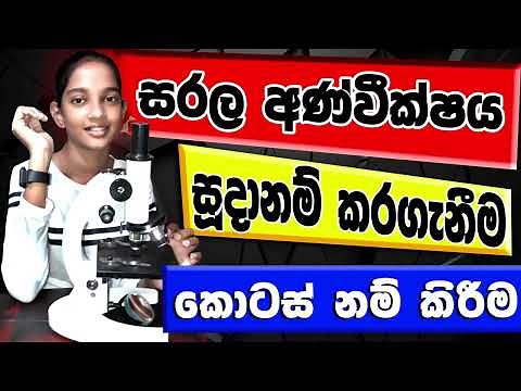 ආලෝක අන්වීක්ෂය - Microscope - Anvikshaya - කොටස් - සූදානම් කර ගන්න ආකාරය - සුරක්‍ෂිත භාවිතය