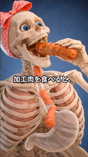 加工肉を食べると体の中で起こること