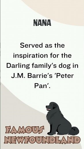 Nana: The Real Dog Behind Peter Pan's Nanny | NewfZone