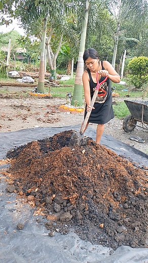 My DIY garden soil🥰 Cocopeat carbonized ricehull ricehull topsoil #gardening | Edz Villaflor Zamora