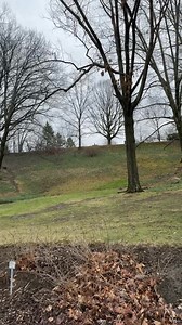 Not yet! Estimate is ten days from today! | Lake View Cemetery