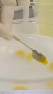 47 reactions | @100x100chef SPHERE CHEF. The tool that will transform...