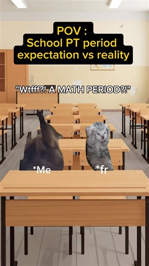 POV : When the PT Period becomes a Math Period... 💀 #CatMeme #relatable
