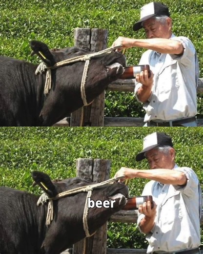 3 Most Expensive Foods in the World | Drew Binsky