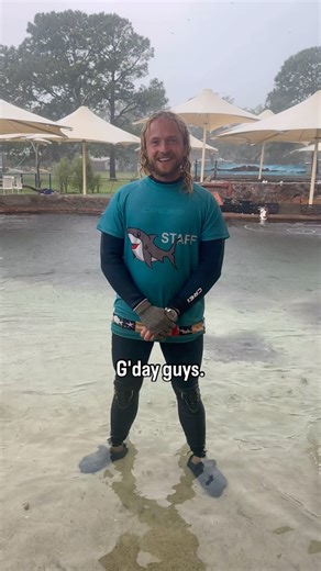 1.7K views · 25 reactions | Ben here with some fin-tastic facts about Eagle Stingrays and their “thick heads” in this week’s episode of Fish Fact Friday And, in true Ben fashion, he wraps it up with one of his class one liners  #irukandji #canchangetheworld #marinelife #marineconservation #interactiveaquarium #thingstodo #destinationportstephens #fishfactfriday #incrediblebynature #portstephens | Irukandji Shark & Ray Encounters | Facebook