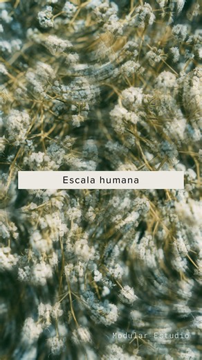 La Escala Humana en la Arquitectura y Diseño