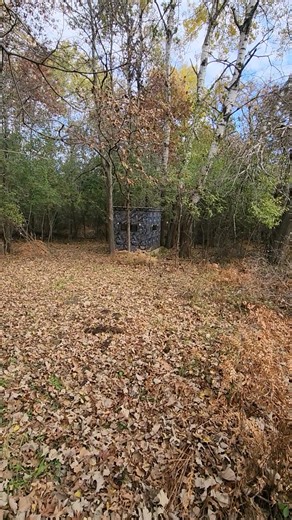 40ac Trophy Whitetail, Columbia County Wi $280K, additional 36 ac available Terry Dixon United Country 608 697 0750 | Terry Dixon -Auctioneer/Realtor | Facebook