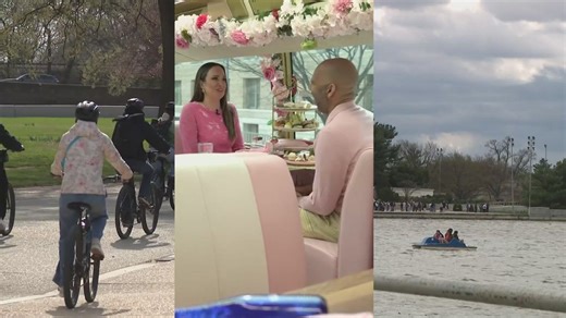 How to get around the Tidal Basin once the cherry blossoms are in peak bloom