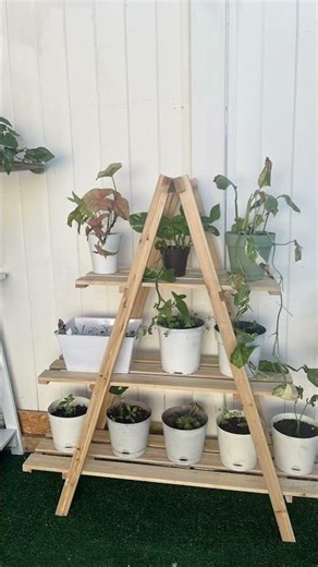 My parents help me build my garden um also I did some on my own I’m so happy