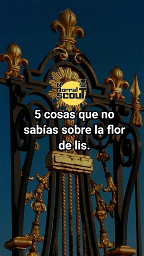 5 cosas que no sabías sobre la flor de lis. #HistoriaScout #flordelis #elmorralscout | Stewar Taborda