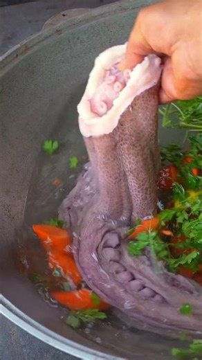 Grilled Octopus Delight: Outdoor Cooking Adventure