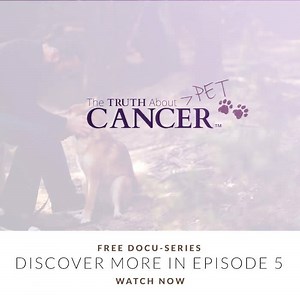 50 reactions · 44 shares | Friends, Episode 5 of The Truth About PET...