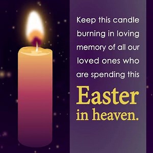 Total Italian on Reels