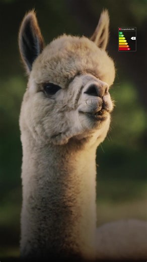 Der neue smart #5 – immer souverän auch wenn es mal nicht nach Plan läuft. 590 km Reichweite sorgen für Gelassenheit. Der Innenraum setzt ebenfalls Massstäbe mit Dual-OLED Displays, Sennheiser® Signature Sound und Halo-Panoramadach. Erlebe es selbst und buche deine Probefahrt bei deinem smart Vertriebspartner. smart #5: Energieverbrauch kombiniert in kWh/100 km (WLTP): 18,4 (Pro /Premium), 18,5 (Pro), 19,9 (BRABUS/Pulse/Summit Edition); CO2-Emissionen kombiniert in g/km: 0; Energieeffizienzklass