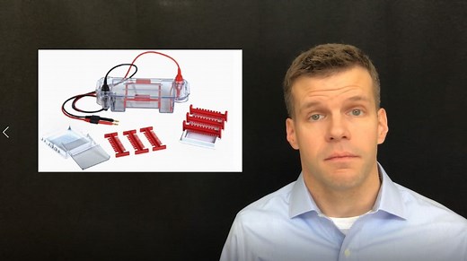 TAE and TBE Running Buffer Recipe
