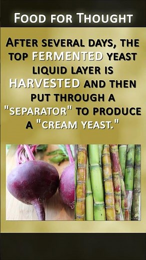 All About Nutritional Yeast