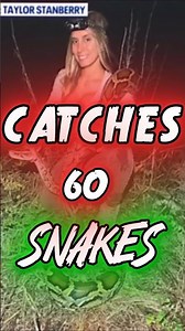 2025 Python Challenge #news#florida #python