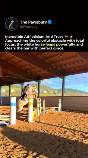 Is this the most graceful jump ever? 😱🤍 #horse #showjumping #equestrianlife
