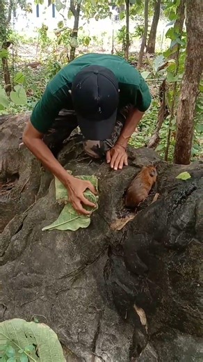 this person catches using leaves #viral #shortvideo #animals