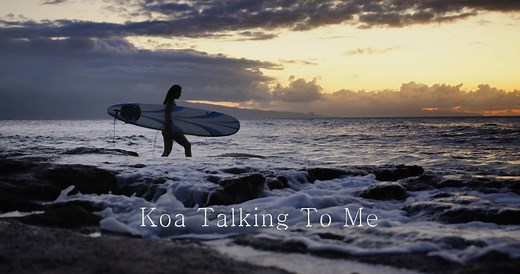 29K views · 896 reactions | Koa trees are endemic to the islands of...