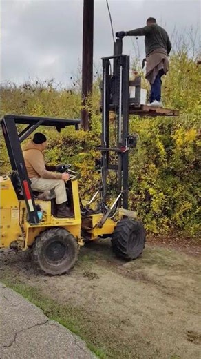 How To Harvest Commercial Pomegranate Farm #farming