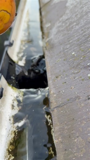 6.3K views · 12 shares | Having issues with your gutter free flowing...