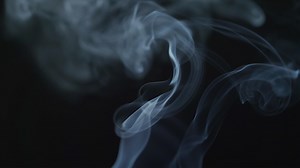 NOVA - The Cannabis Question - Twin Cities PBS