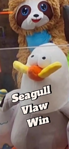 Seagull Claw Win at the Sports Center #zcaders #michigan #clawmachine #seagulls #plush