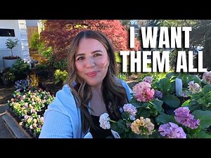 English Garden Update 🌿 Japanese Pansy Haul + Potting Beautiful Plants