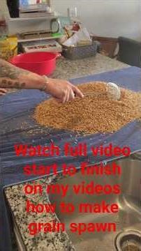 The full video is available in my videos how to make your own grain spawn for mushroom cultivation