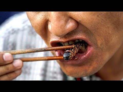 Bugs You Can Eat