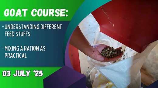 3.5K views · 43 reactions | !!03 JULY 2025 Goat nutrition course!!...