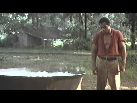 White Supremacy "THE GREATEST RETRIBUTION"