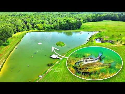 This is Causing a Big Problem at the 5 Acre Pond!