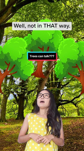 The Secret Life of Trees: Communication and Support in the Forest