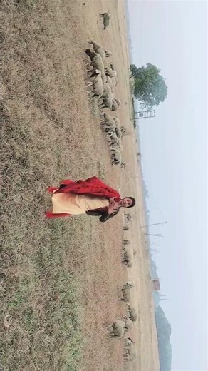 Ghunghat ki Aadh se#short#youtubeshorts#viral#dance #youtubevideo